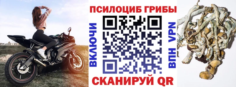 Галлюциногенные грибы Magic Shrooms где найти Верхнеуральск