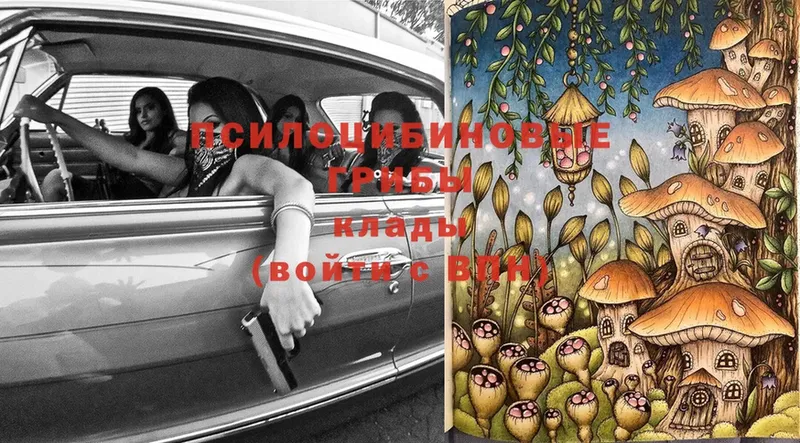 кракен как зайти  Верхнеуральск  Псилоцибиновые грибы Psilocybine cubensis 